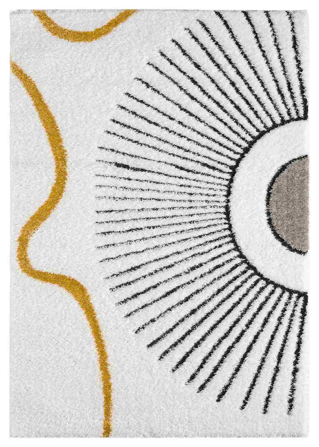 5d Shaggy Area Rug 6420