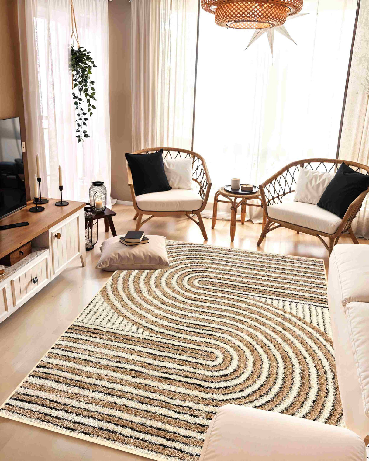 5d Shaggy Area Rug 6421