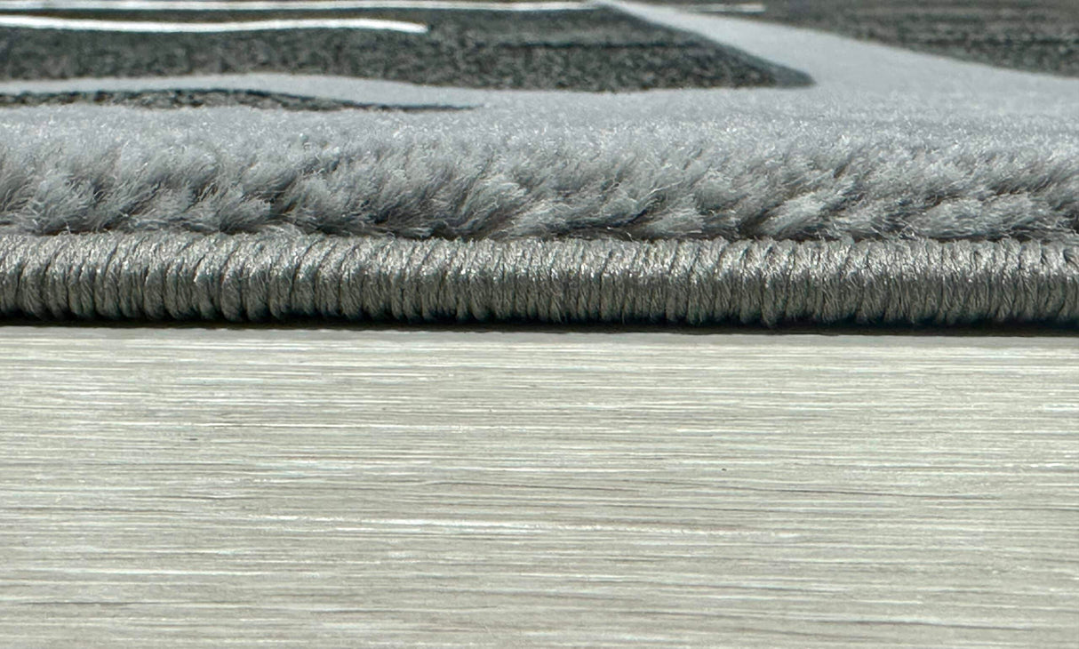Orion Area Rug 80013