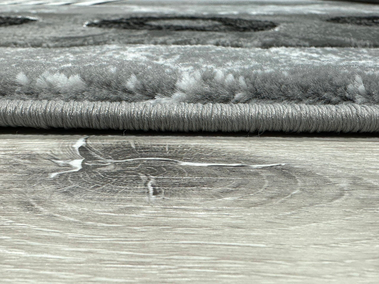 Orion Area Rug 80017