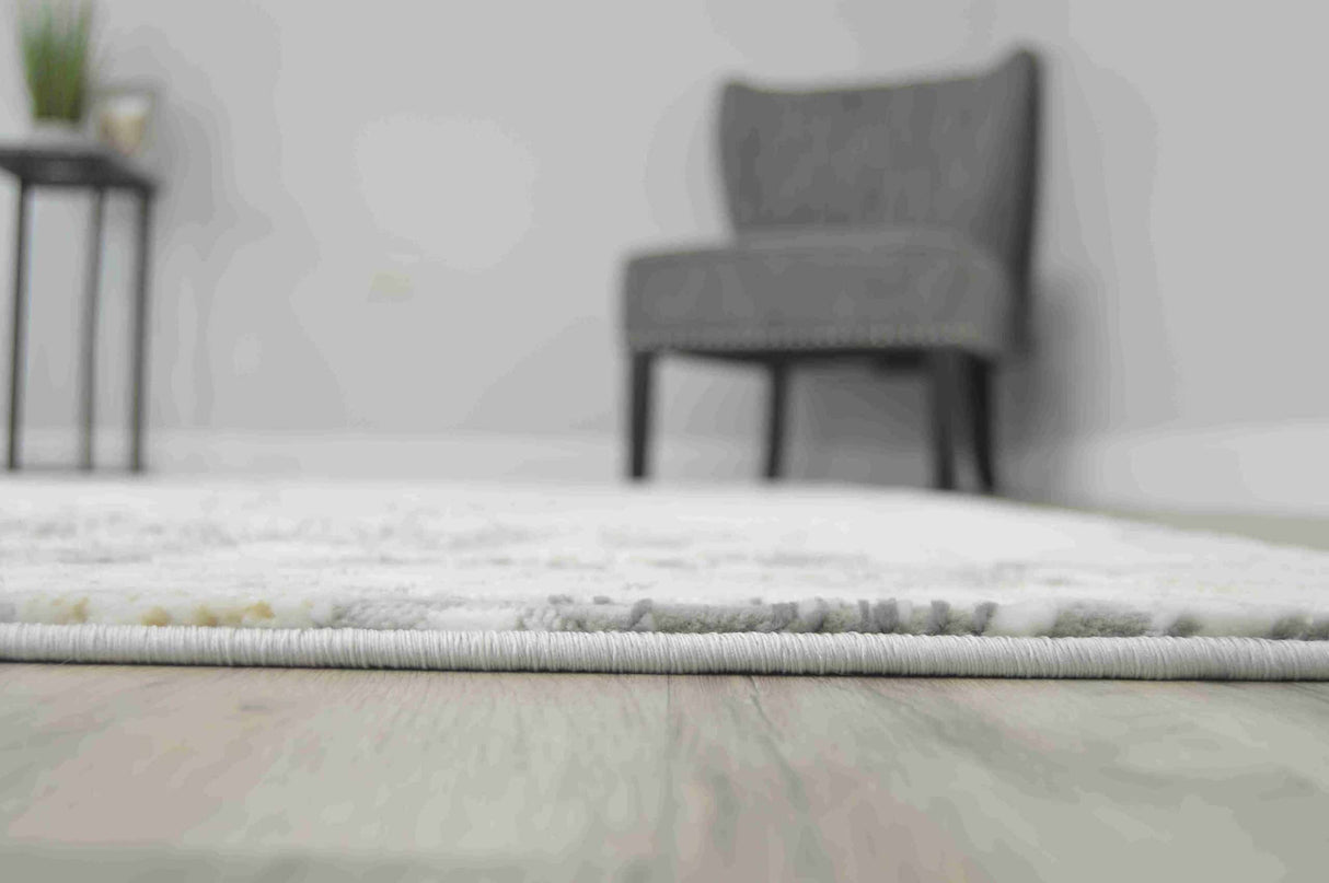 Trendy Area Rug 1408
