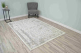 Trendy Area Rug 1422 Grey
