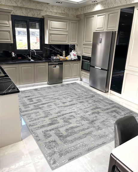 Infinity Shaggy Area Rug 1520