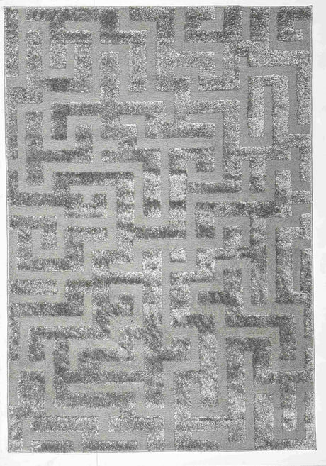 Infinity Shaggy Area Rug 1520