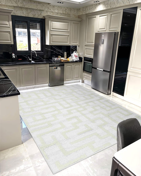 Infinity Shaggy Area Rug 1521