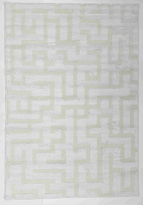 Infinity Shaggy Area Rug 1521