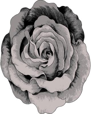 Flowers Design 304 Grey