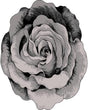 Flowers Design 304 Grey