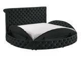 Brigitte Black Queen Storage Bed