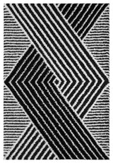 5d Shaggy Area Rug 6415