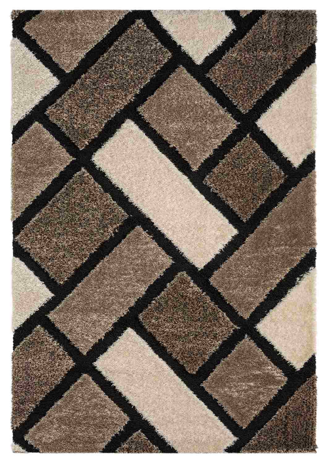 5d Shaggy Area Rug 6419