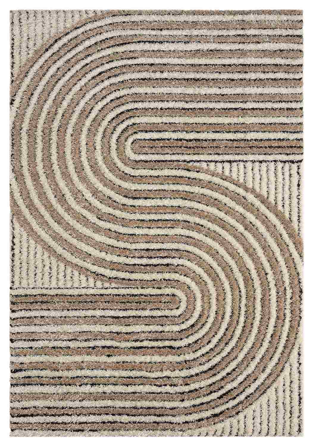 5d Shaggy Area Rug 6421