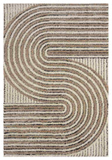 5d Shaggy Area Rug 6421