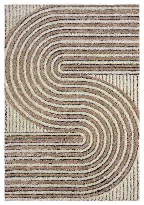 5d Shaggy Area Rug 6421