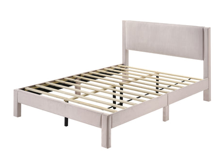 Lucia Bed Frame Pink Queen bed