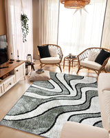 5d Shaggy Area Rug 6413