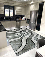 5d Shaggy Area Rug 6413