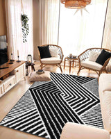 5d Shaggy Area Rug 6415