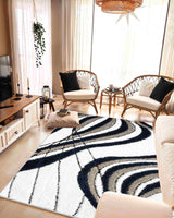 5d Shaggy Area Rug 6418