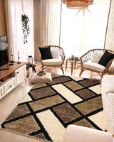 5d Shaggy Area Rug 6419