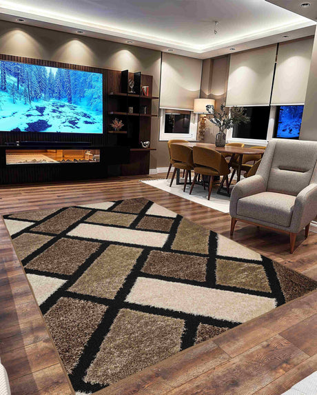 5d Shaggy Area Rug 6419