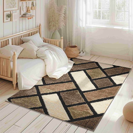 5d Shaggy Area Rug 6419