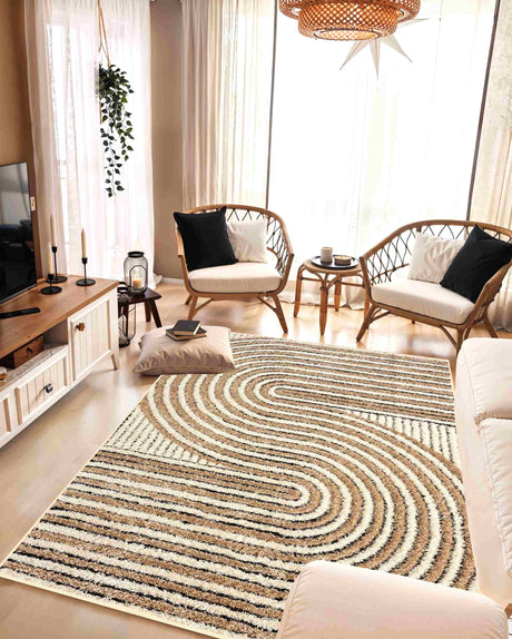 5d Shaggy Area Rug 6421