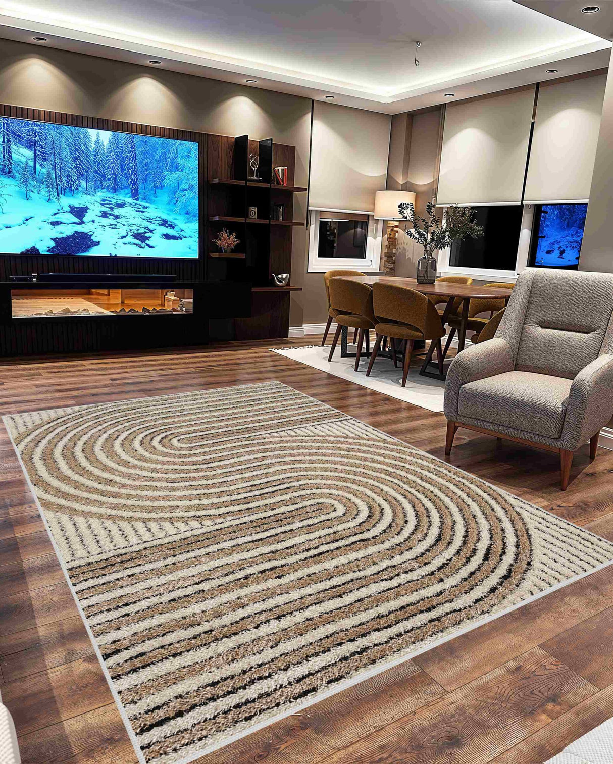 5d Shaggy Area Rug 6421