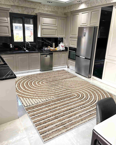5d Shaggy Area Rug 6421