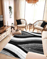 4d Shaggy Area Rug 6496