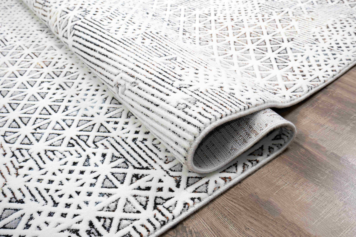 Randy Area Rug 7289