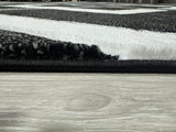 Orion Area Rug 80014