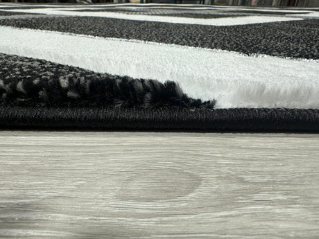 Orion Area Rug 80014