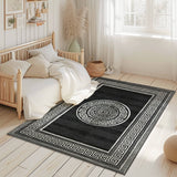 Orion Area Rug 80015