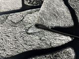 Orion Area Rug 80018