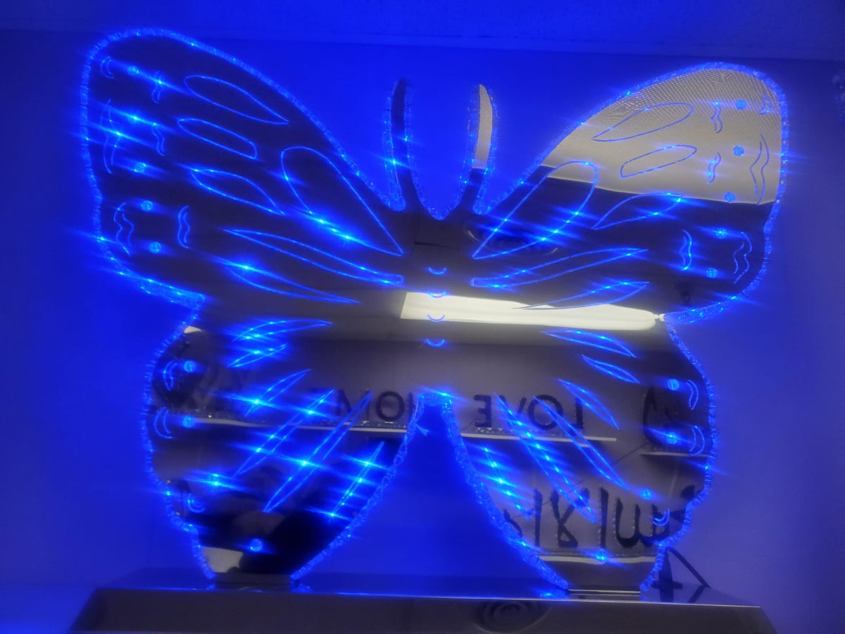 Ny-butterfly
