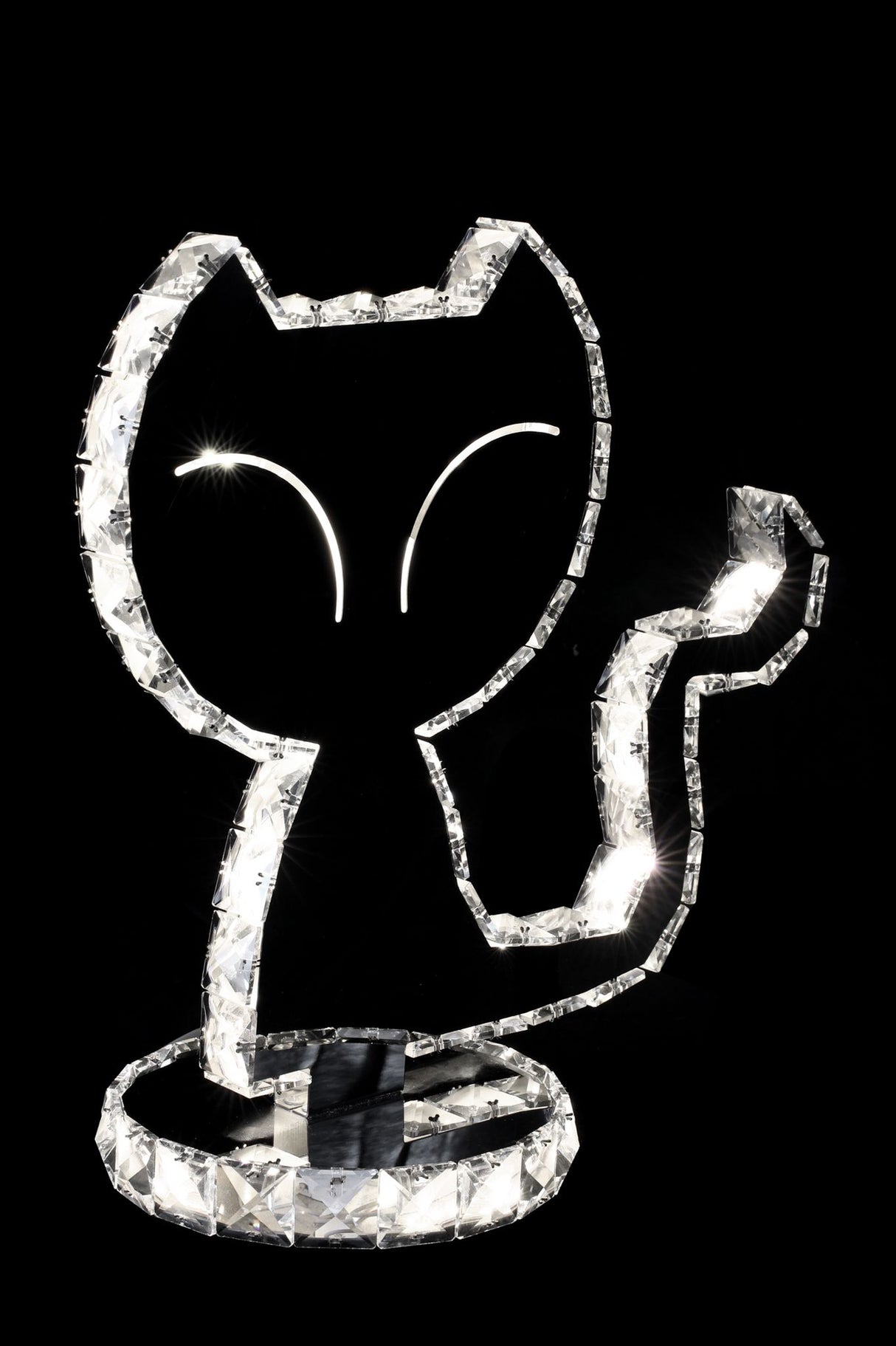 Ny-cat