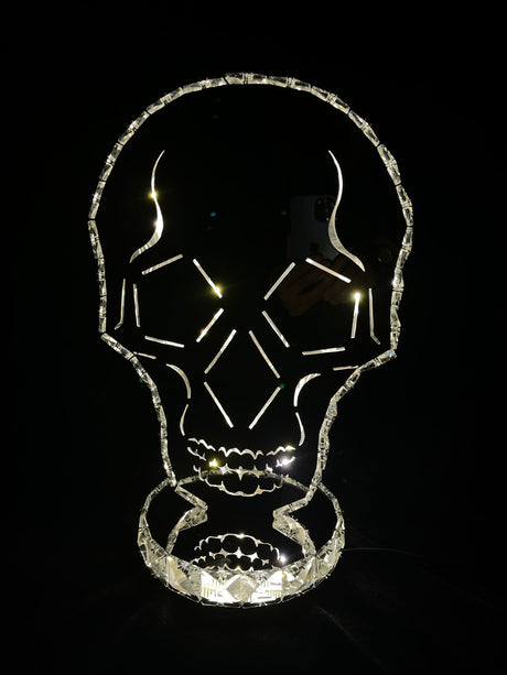Ny-skull