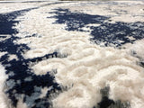 Jericho Area Rug 9955
