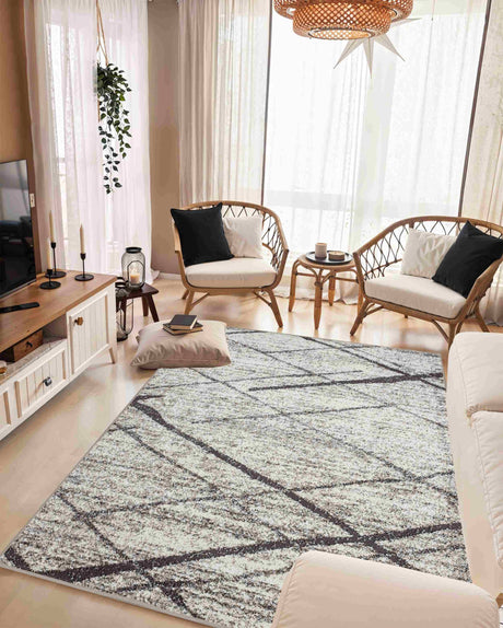 Aurora Area Rug 9917 Grey