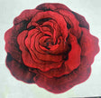 Flowers Design 3888 Red