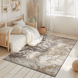 Marble Area Rug 1046