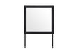 Optimus Black/Grey Mirror