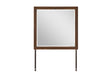 Phoebe Brown Mirror