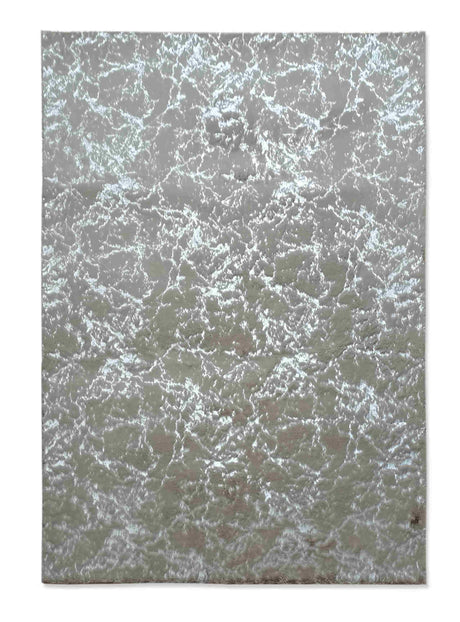 Timmy-S Shaggy Rug Td3396-B13-Dk.Beige+Silver