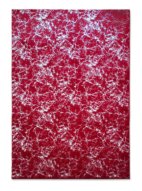 Timmy-S Shaggy Rug Td3396-B2-Red+Silver