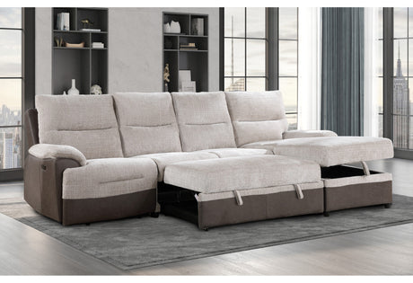 Sleeper Sofa Beds