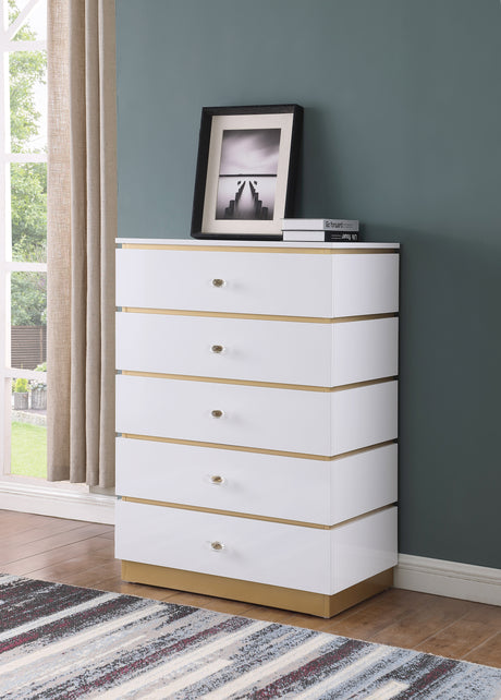 Rana Chest