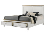 Aston Storage Bedroom Group Queen bed