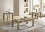 Theo 3pk Coffee Table Set-Reclaimed Wood